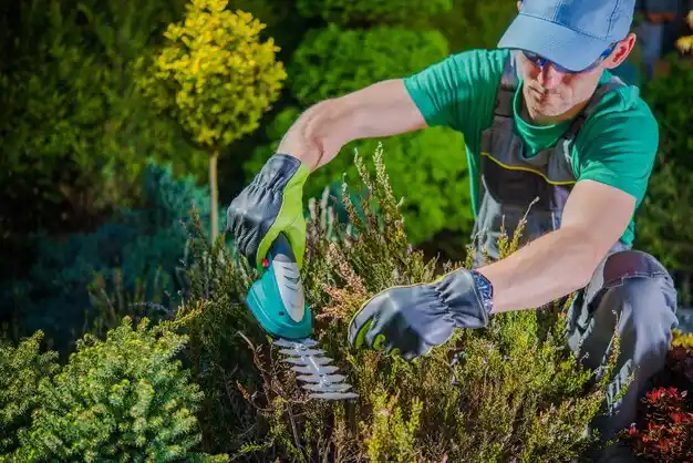 landscaping services Tremont